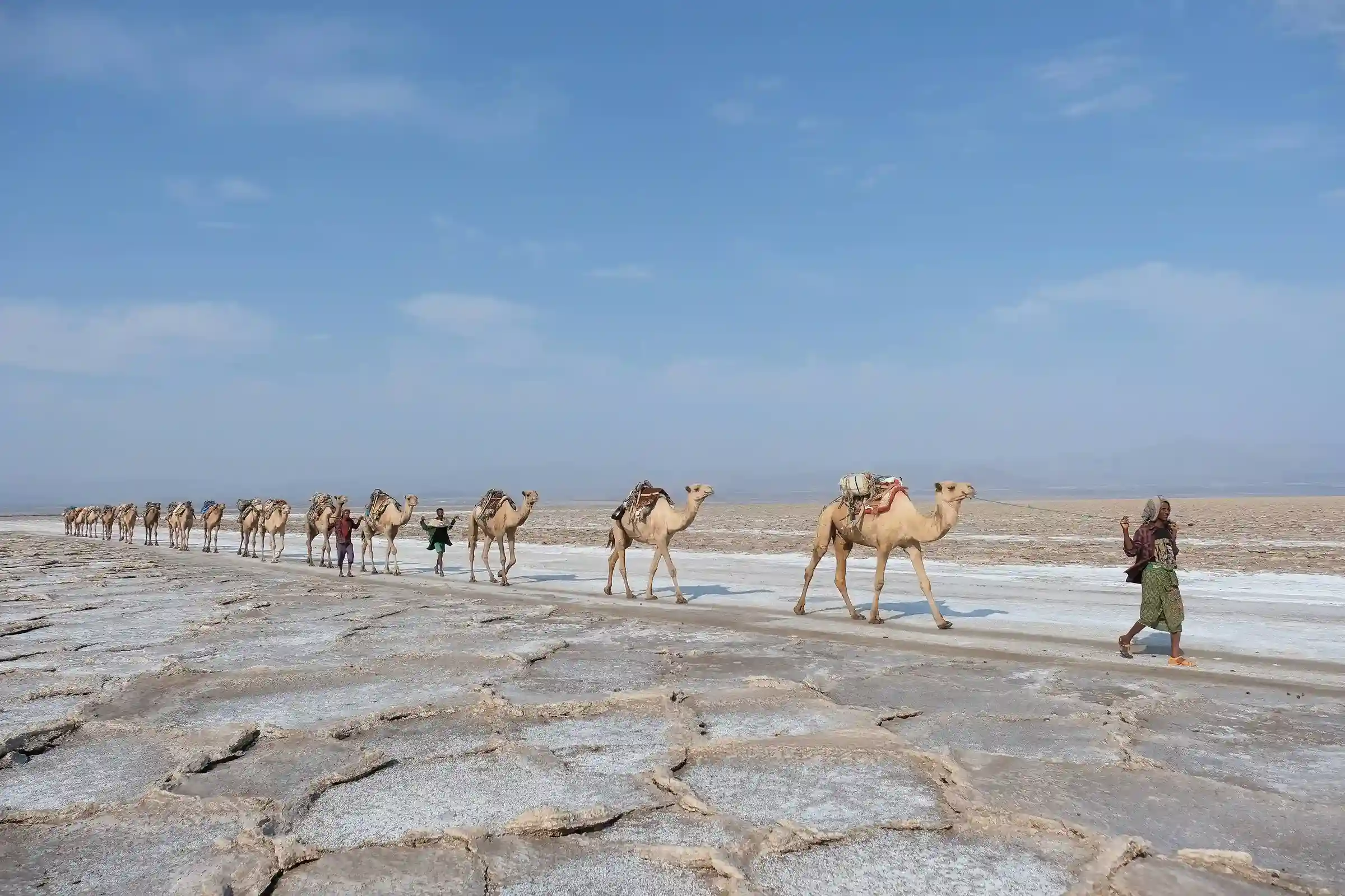 Camel Caravan Crossing the Danakil Depression - Afar Region Ethiopia Adventure Tours