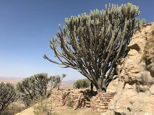 Yohannes Maequdi rock-hewn church in Gheralta, Tigray Ethiopia