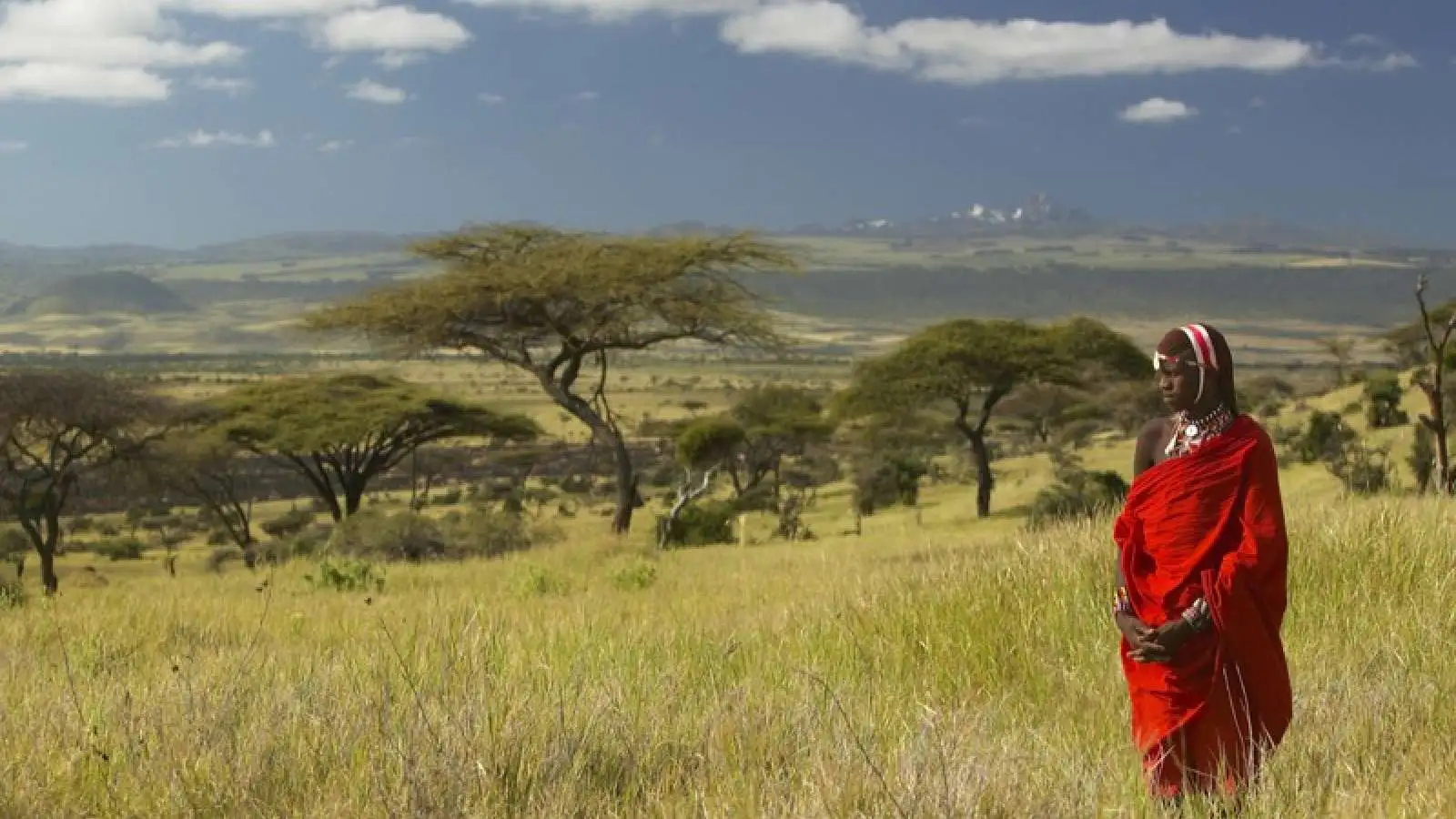 Maasai Mara Safari Wildlife and the Great Migration - Kenya Safari Tours